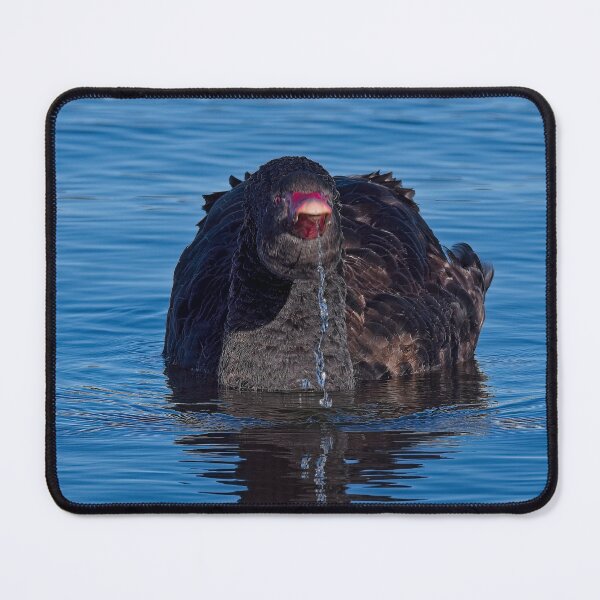 Item preview, Black Swan 4 designed and sold by StevenRalserPhoto.