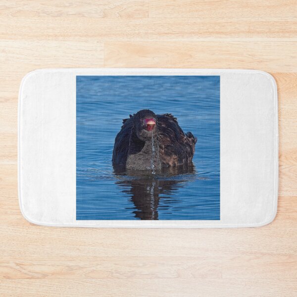 Item preview, Black Swan 4 designed and sold by StevenRalserPhoto.