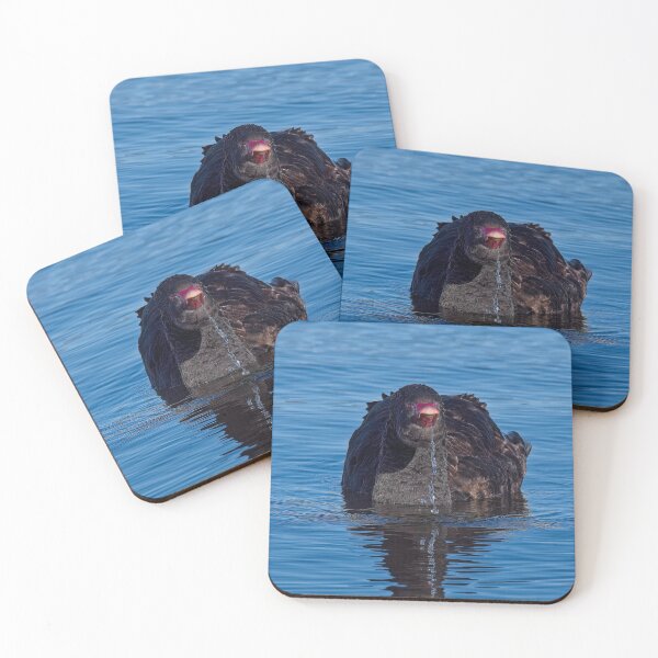Item preview, Black Swan 4 designed and sold by StevenRalserPhoto.