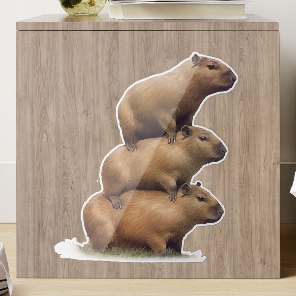 Capybara sticker deko in Rheinland-Pfalz - Mainz