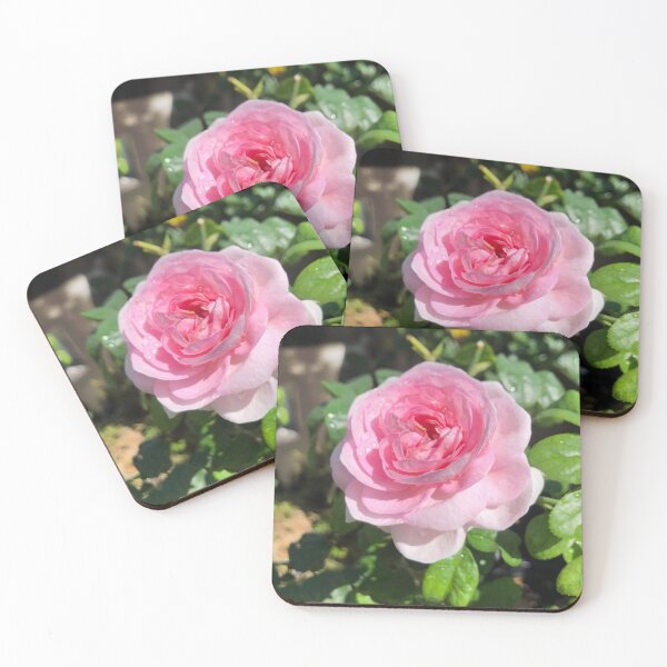 Item preview, Baby Pink Rose  designed and sold by Sangeeta Art Co..