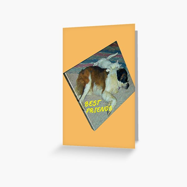 Best Friends Greeting Card