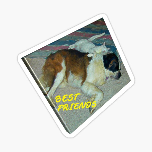 Best Friends Sticker