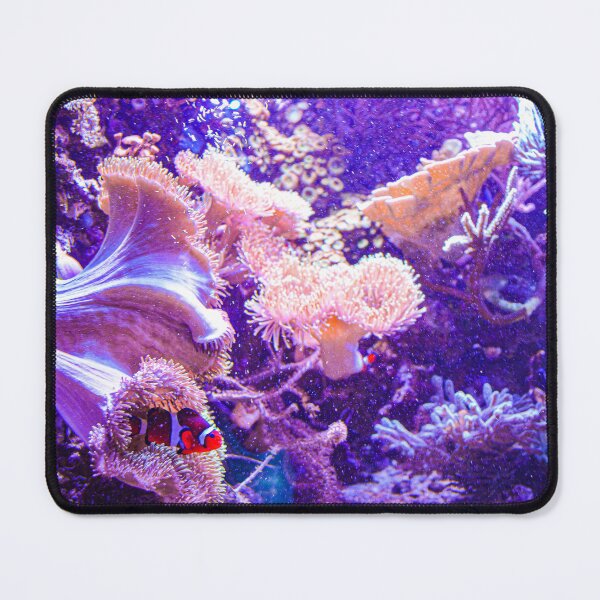 Aperçu de l'œuvre  Clown fish créée et vendue par Constelarium.
