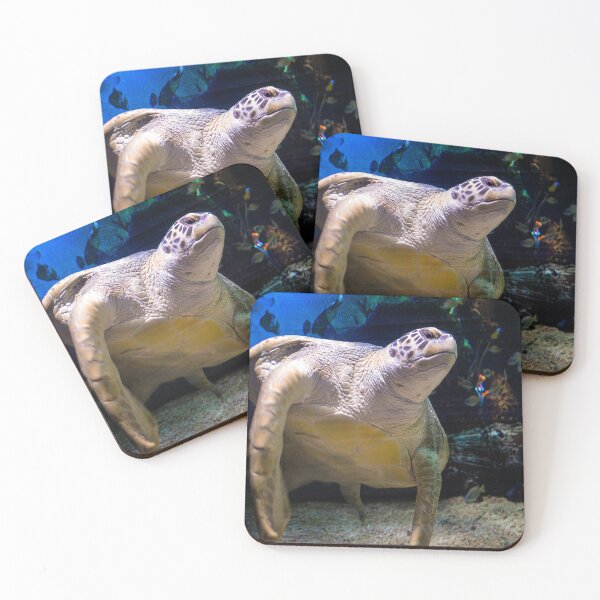 Item preview,  sea ​​turtle designed and sold by Constelarium.