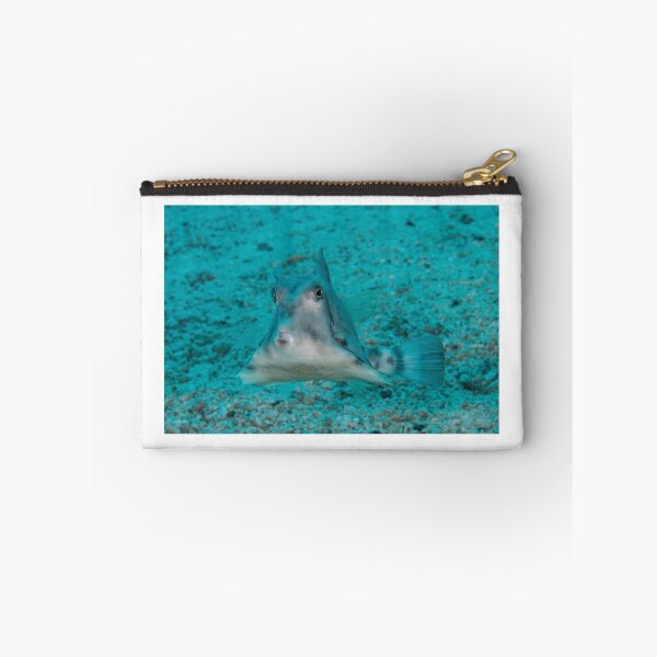 Item preview, Triangular Fish designed and sold by Mark Rosenstein.
