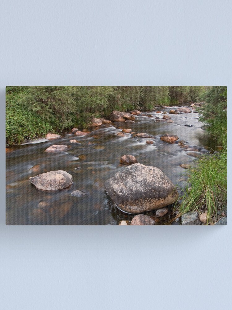 Alternate view of Running Stream Canvas Print