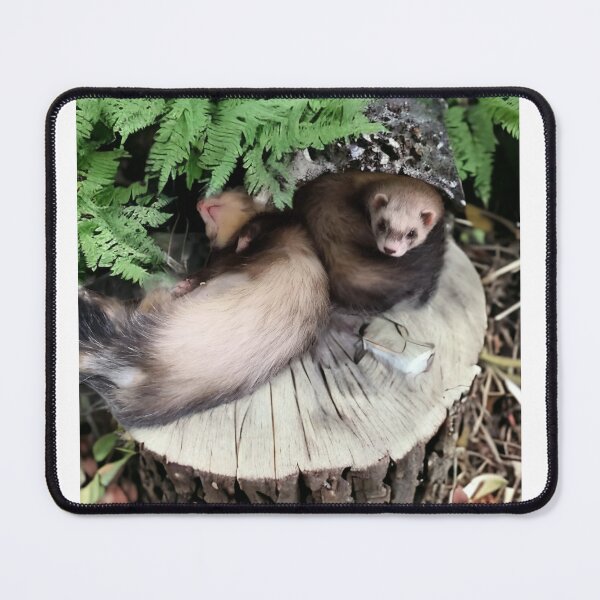Item preview, Funny ferrets designed and sold by Launchi.