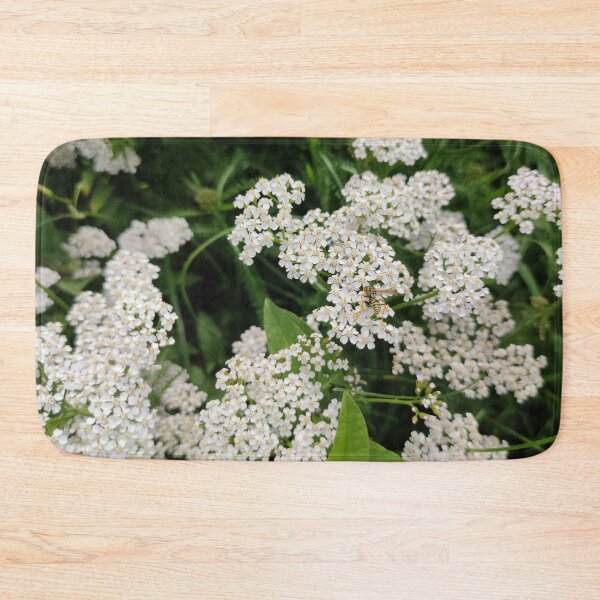 Item preview, A cluster of white yarrows - they are good in herb tea designed and sold by tshuki.