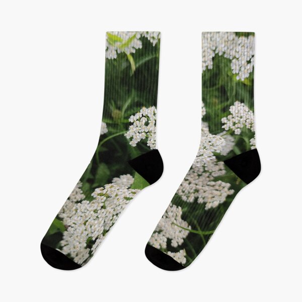 Item preview, A cluster of white yarrows - they are good in herb tea designed and sold by tshuki.