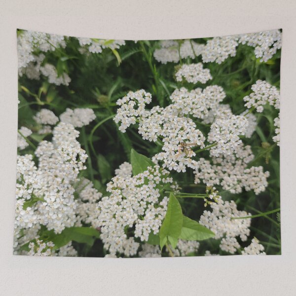 Item preview, A cluster of white yarrows - they are good in herb tea designed and sold by tshuki.