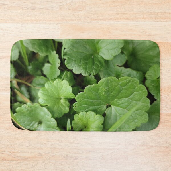 Item preview, Cute ground ivy leaves, no longer blooming still cute designed and sold by tshuki.
