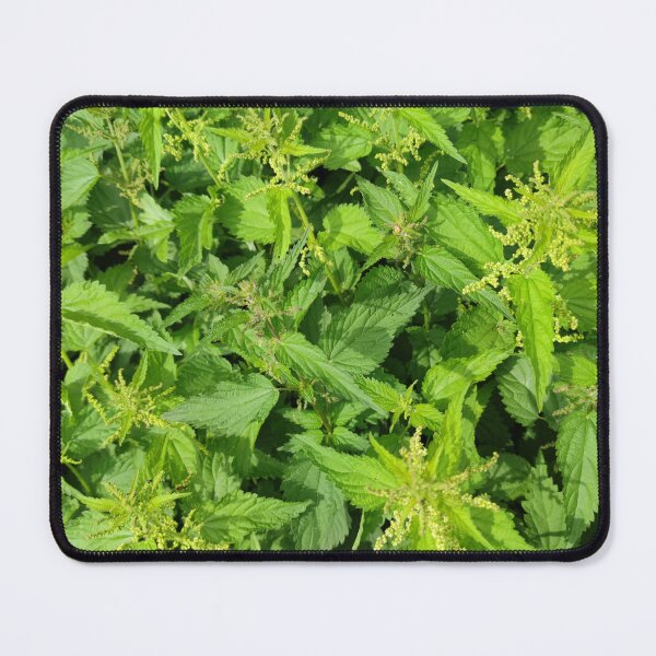 Item preview, Nettle sea, better not roll in there, that's an ouch ouch ouch designed and sold by tshuki.