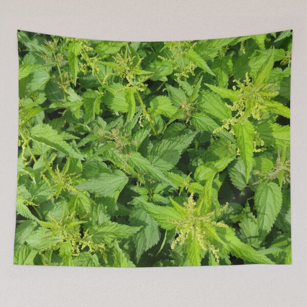 Item preview, Nettle sea, better not roll in there, that's an ouch ouch ouch designed and sold by tshuki.