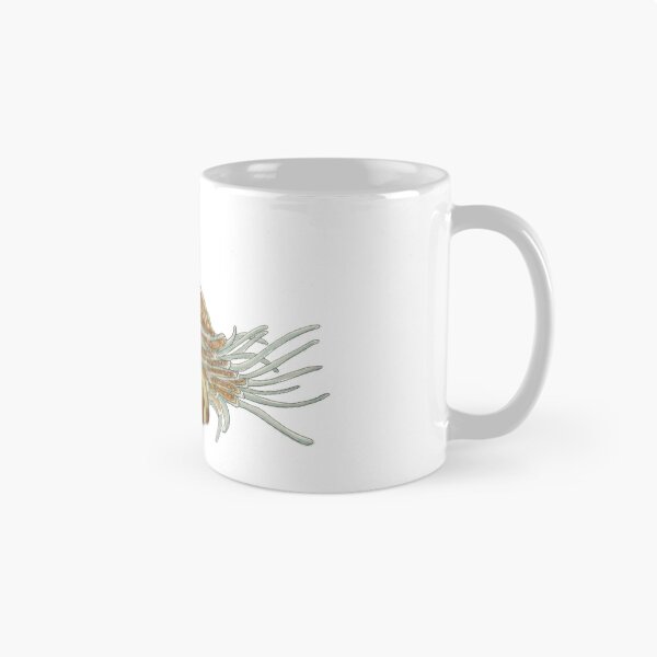 Item preview, Nautilus (Nautilus belauensis) designed and sold by Isabel Cayer.