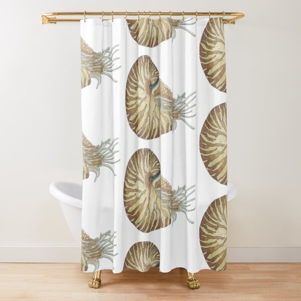 Item preview, Nautilus (Nautilus belauensis) designed and sold by Isabel Cayer.