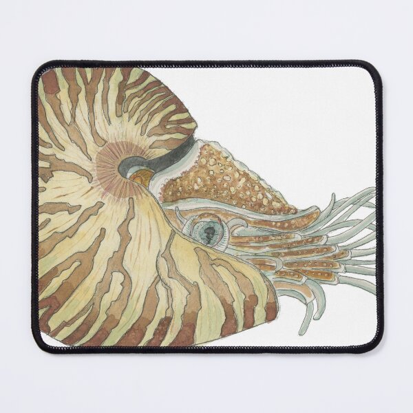 Item preview, Nautilus (Nautilus belauensis) designed and sold by Isabel Cayer.