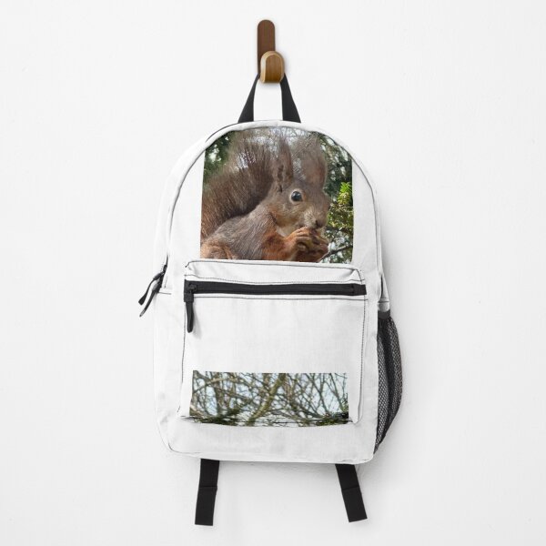 Item preview, Squirrel launch designed and sold by Launchi.