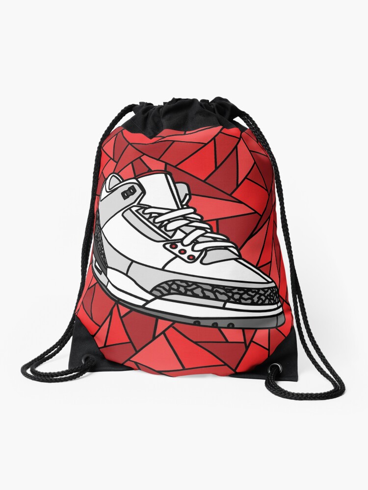 jordan sneaker bag