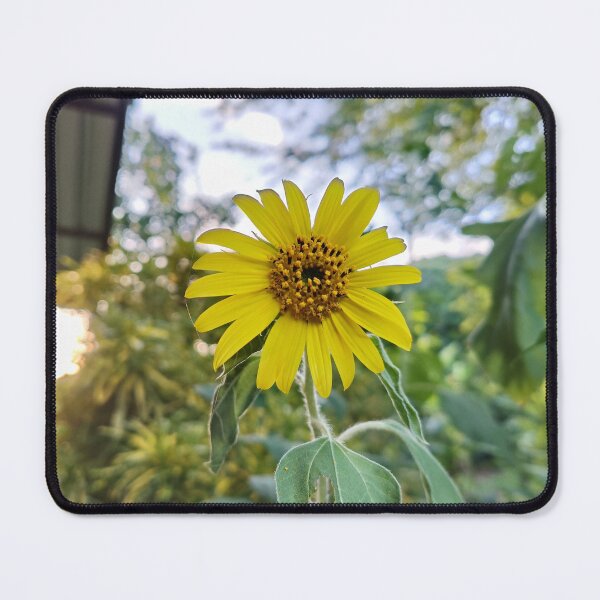 Item preview, Sunflower at my hometown  designed and sold by BADAHIGH.