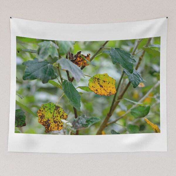 Item preview, SILVER BIRCH TREE LEAVES designed and sold by MIKESCOTT.