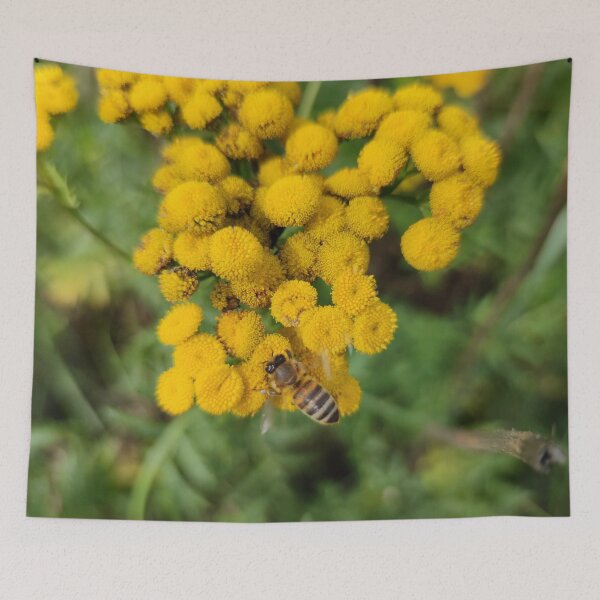 Item preview, We call them bee seats in Latvian, bright yellow and always covered in bugs designed and sold by tshuki.