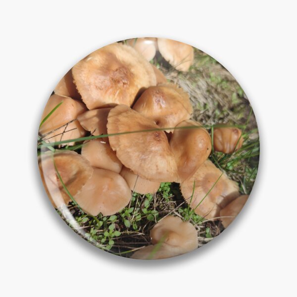 Item preview, Some shrooms from a fairy circle designed and sold by tshuki.