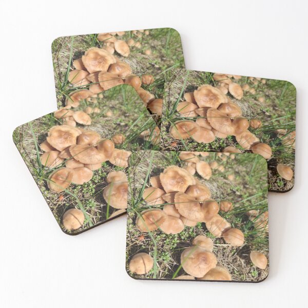 Item preview, Some shrooms from a fairy circle designed and sold by tshuki.