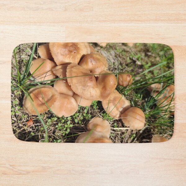 Item preview, Some shrooms from a fairy circle designed and sold by tshuki.