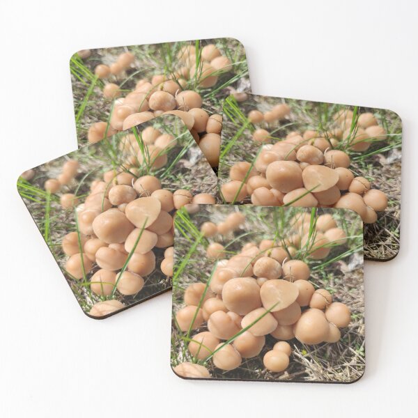 Item preview, Some more shrooms from a fairy circle designed and sold by tshuki.