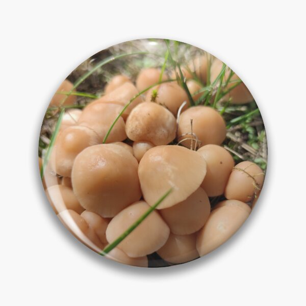 Item preview, Some more shrooms from a fairy circle designed and sold by tshuki.
