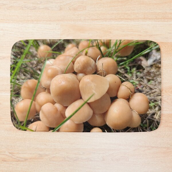 Item preview, Some more shrooms from a fairy circle designed and sold by tshuki.