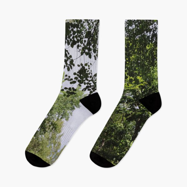 Item preview, Trees from under the foliage - I seem to like the setting designed and sold by tshuki.