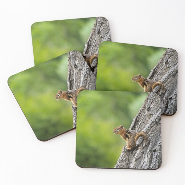 Item preview, Tree Chipmunk | Dinosaur National Park designed and sold by TinyDinoDesigns.