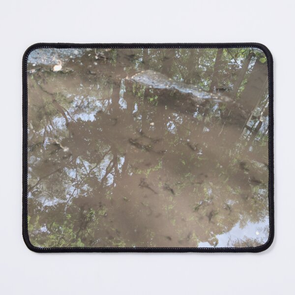 Item preview, Reflected graveyard fence in a puddle designed and sold by tshuki.