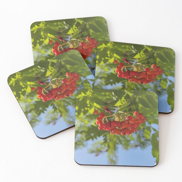 Item preview, Sky under a rowan tree - sunlight falls like rain of honey designed and sold by tshuki.