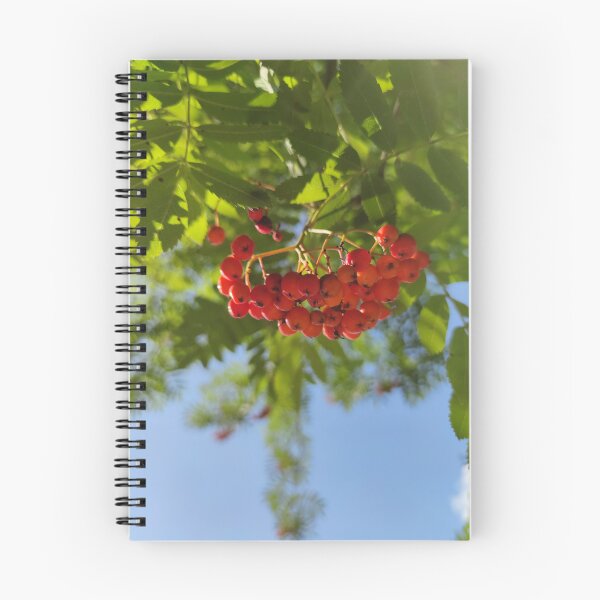 Item preview, Sky under a rowan tree - sunlight falls like rain of honey designed and sold by tshuki.