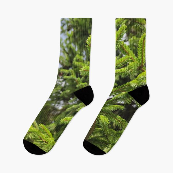 Item preview, Lush and green spruce  designed and sold by tshuki.