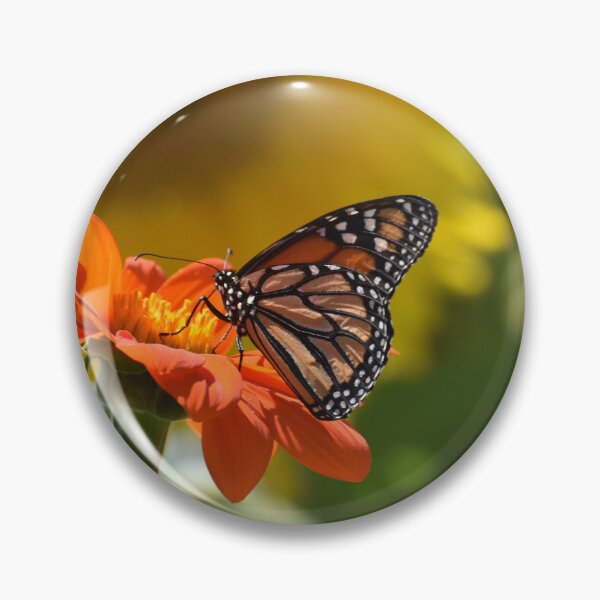 Item preview, Monarch Butterfly on Orange Flower designed and sold by Eleu Tabares.