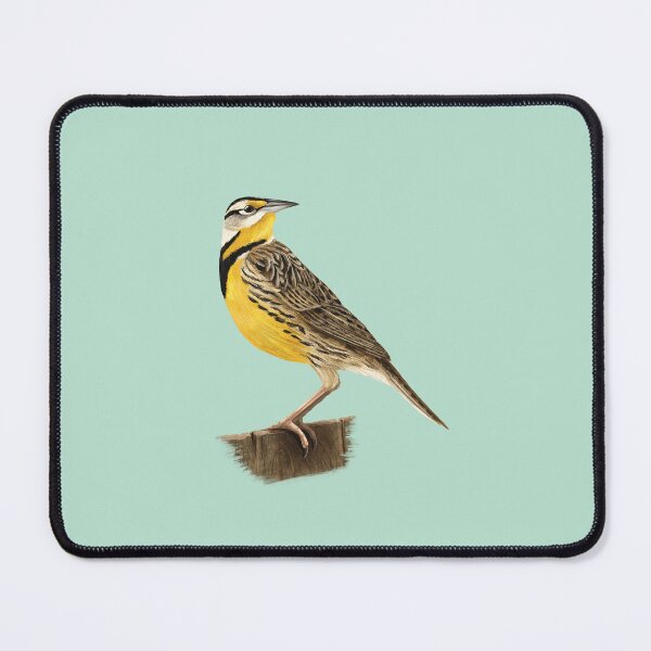 Item preview, Eastern Meadowlark Bird Standing on a Fence designed and sold by Nick Garnhart.