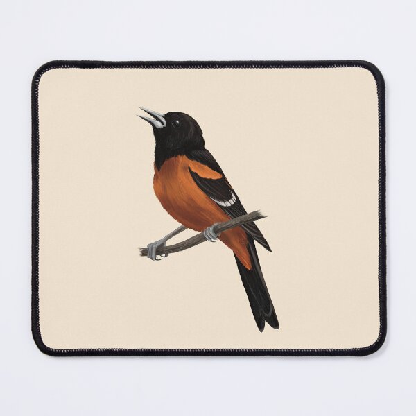 Item preview, Male Orchard Oriole singing from a branch designed and sold by Nick Garnhart.