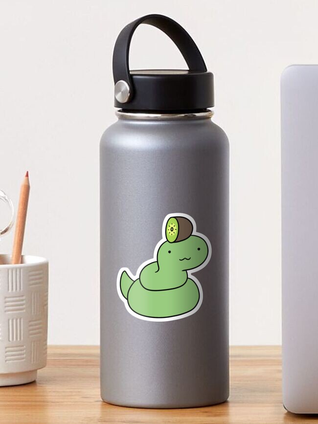 Kiwi Turtle Sticker | Cute Funny Cartoon Animal Silly stickers | 3 Water  Bottle | Laptop | College | Teen | Kids
