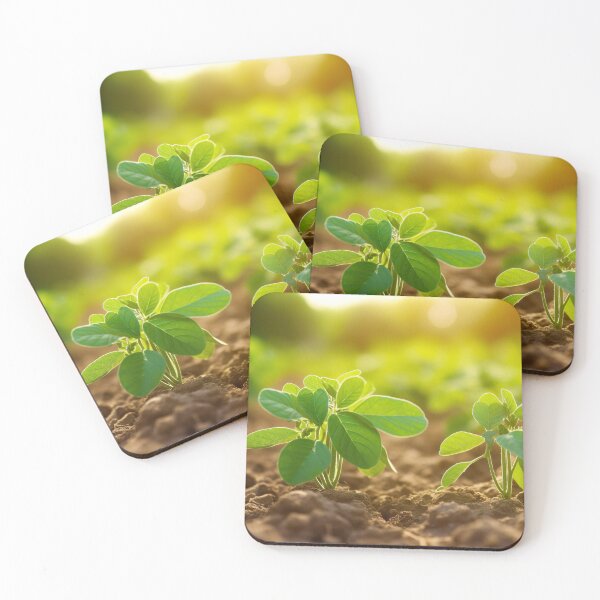 Item preview, Young Flowering plant Summer designed and sold by Aestheticlanart.