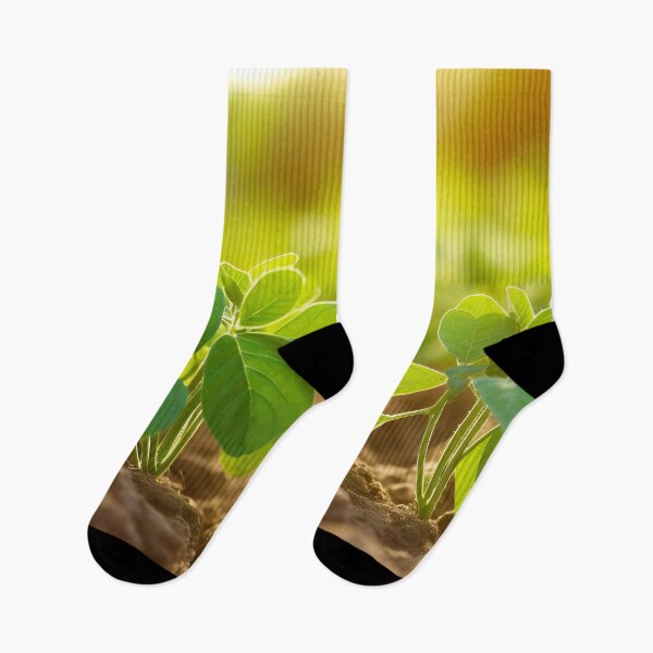 Item preview, Young Flowering plant Summer designed and sold by Aestheticlanart.