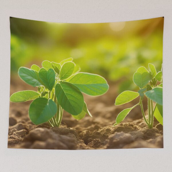 Item preview, Young Flowering plant Summer designed and sold by Aestheticlanart.