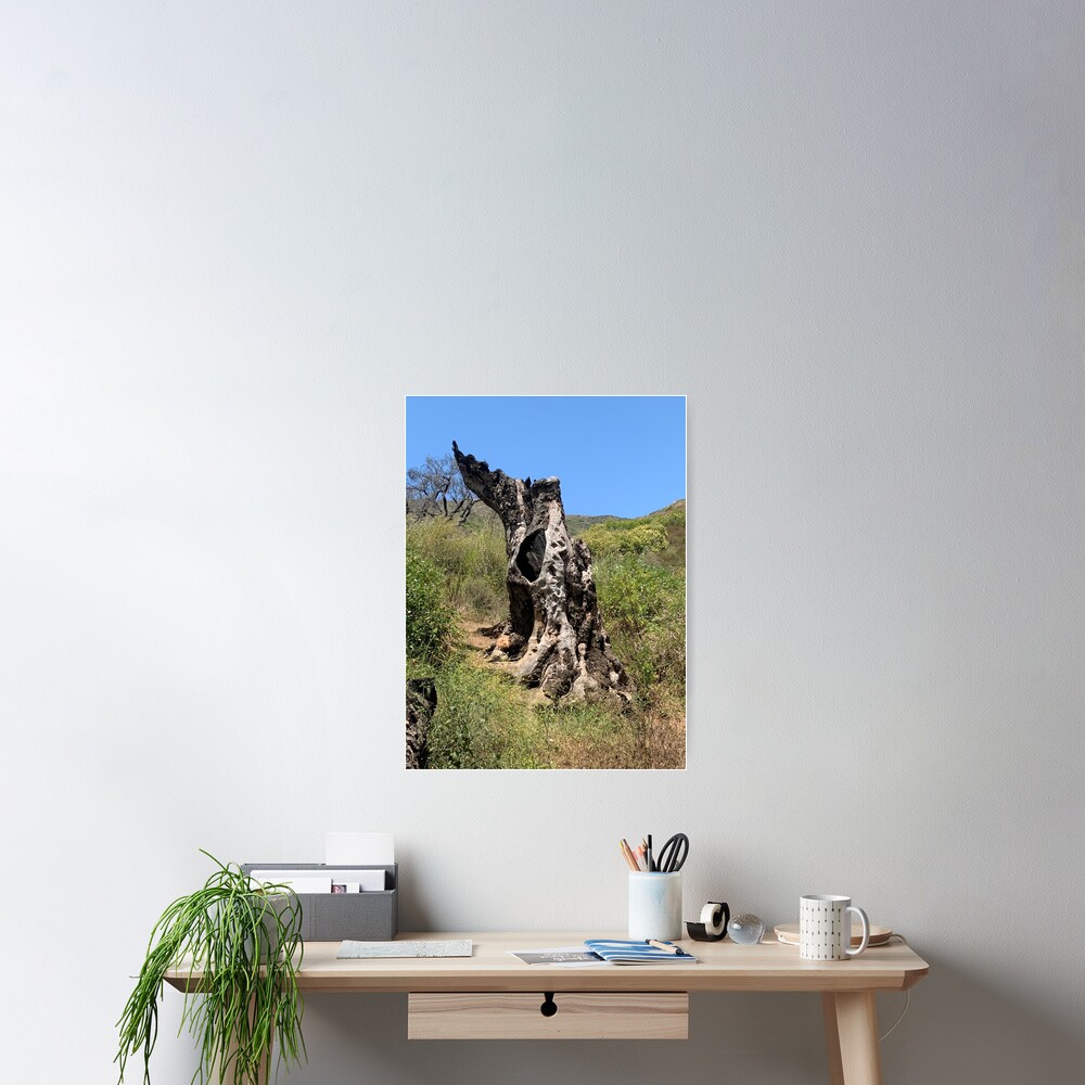 Item preview, Poster designed and sold by NatureSoReal.
