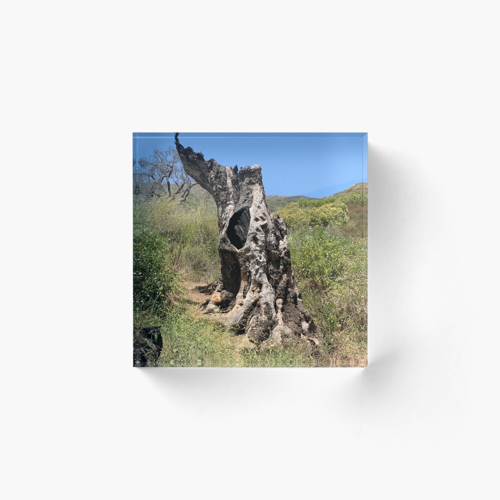 Item preview, Acrylic Block designed and sold by NatureSoReal.