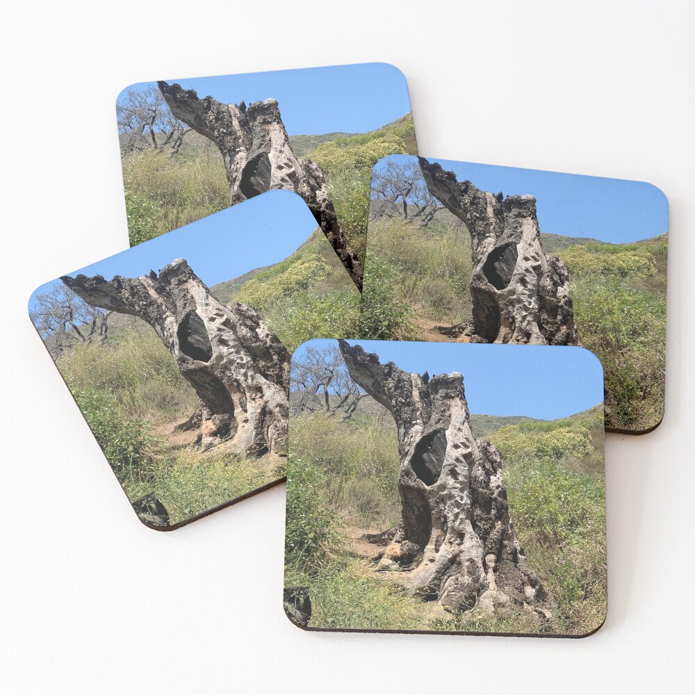 Item preview, Coasters (Set of 4) designed and sold by NatureSoReal.