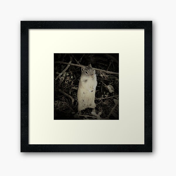 Young Forager Framed Art Print