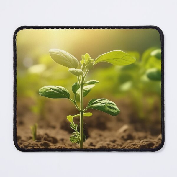 Item preview, Young Flowering seed summer vibes designed and sold by Aestheticlanart.